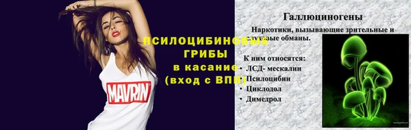 a pvp Алзамай