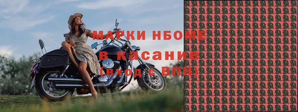 ПСИЛОЦИБИНОВЫЕ ГРИБЫ Липки