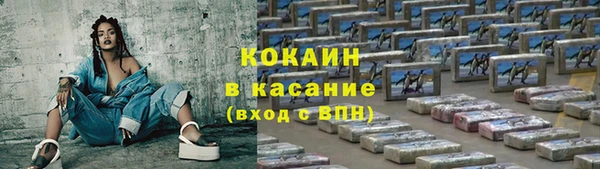 бошки Алексин