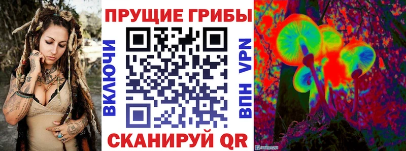Псилоцибиновые грибы Psilocybe  магазин продажи   Арзамас 