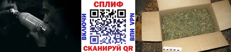 Бошки Шишки планчик Арзамас